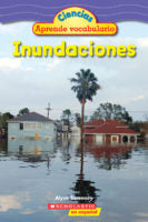 LAS INUNDACIONES