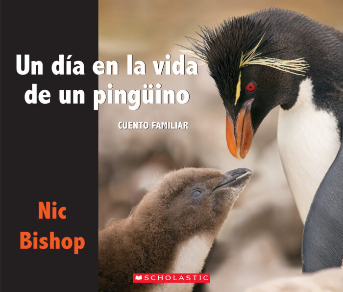 UN DIA EN LA VIDA DE UN PINGÜINO