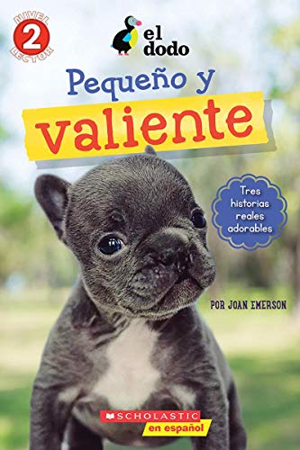 EL PEQUEÑO VALIENTE