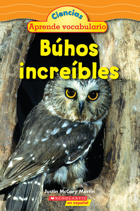 BÚHOS INCREÍBLES