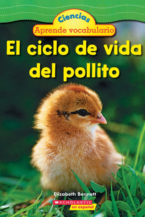 EL CICLO DE VIDA DEL POLLITO