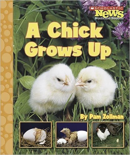 A CHICK GROWS UP